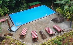 Cashew Nut Grove Chalets