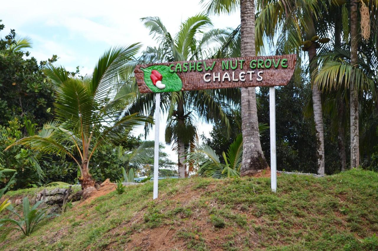 Cashew Nut Grove Chalets Port Glaud Exterior foto