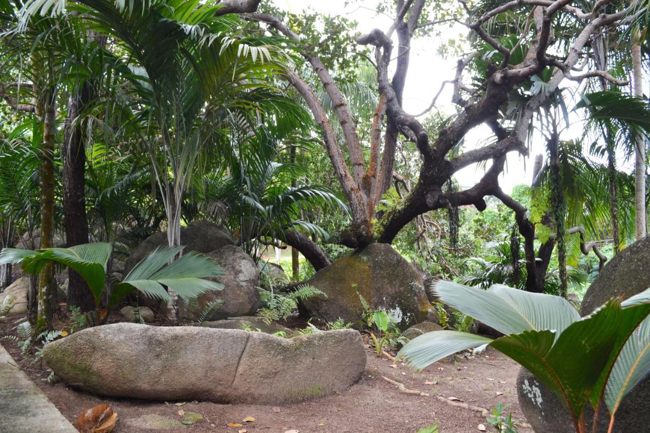 Cashew Nut Grove Chalets Port Glaud Exterior foto